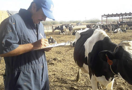 Registros Reproductivos